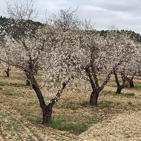 La Calma * La Fresneda