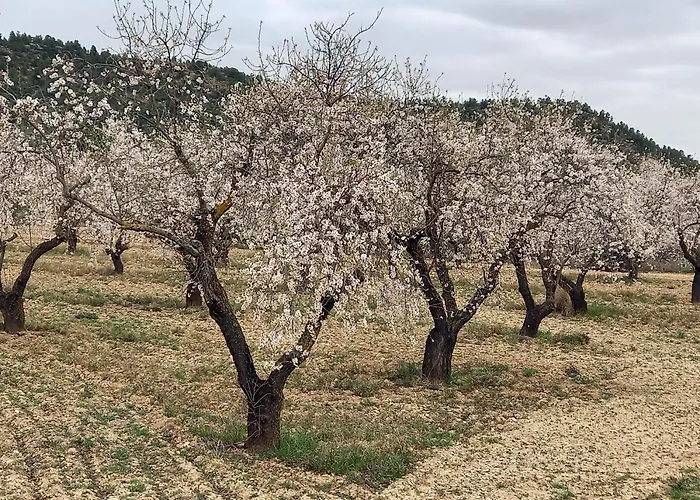 La Calma * La Fresneda